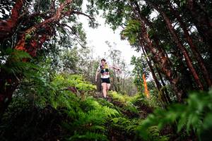 BIB: 
                            <button type="button" onclick="openModal(26201459)" class="btn btn-primary btn-sm float-right btn-popup" data-toggle="modal" data-target=".modal-high-quality">
                        <i class="fas fa-shopping-cart"></i> Add to Cart
                    </button>
                                            <button type="button" onclick="isThisMe(26201459, true)" class="btn btn-success btn-sm float-right btn-popup btn-isme hidden" data-toggle="tooltip" data-placement="bottom" title="นี่คือรูปของคุณใช่ไหม คลิกที่นี่เพื่อเอาเข้าอัลบั้ม">
                        <i class="fas fa-plus"></i> Add to album
                    </button>
                    <button type="button" onclick="isThisMe(26201459, false)" class="btn btn-warning btn-sm float-right btn-popup btn-isnotme hidden">
                        <i class="fas fa-ban"></i> Remove from album
                    </button>